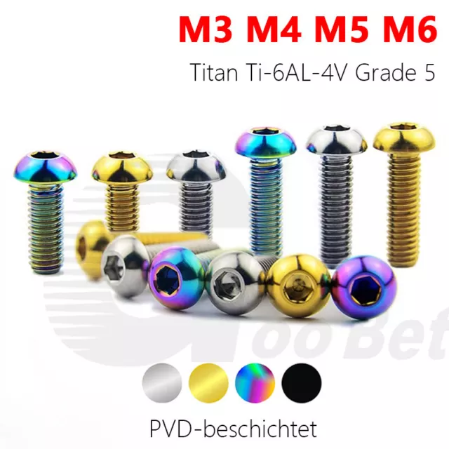 M3 M4 M5 M6 Titan Schraube Linsenkopf Innensechskant ISO 7380 Fahrrad Tuning GR5