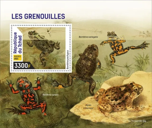 Chad - 2021 Frösche,Yellow-Bellied Kröte - Briefmarke Souvenir Blatt -