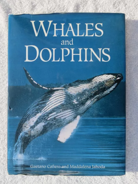 Whales And Dolphins Book Maritime Nautical Marine (#177)