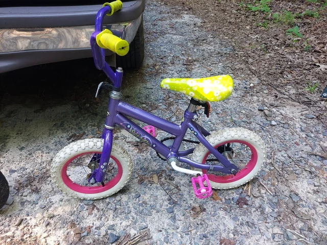 dora the explorer bicycle