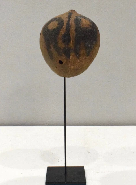 Papua New Guinea Coconut Healing Marupai Papuan Gulf