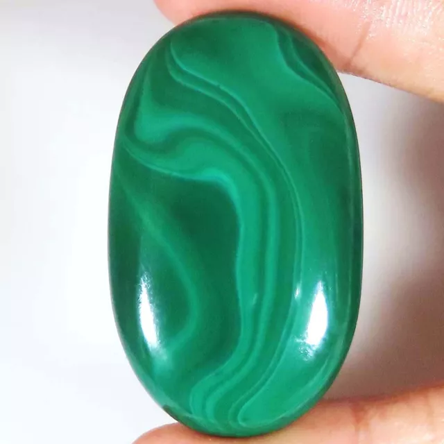 119.30 Cts Natural MALACHITE Oval Cabochon Healing Gemstone 29x48x6 mm eb_430