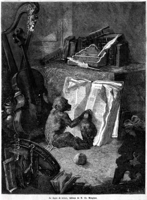 Lezione di lettura con scimmie. Caricatura. Grande veduta.Stampa antica del 1861