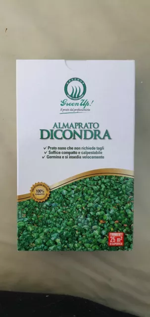Semi tappeto erboso prato Dichondra Repens dicondra confezione da 250g