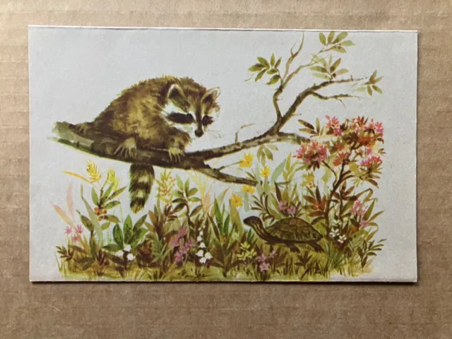 Vintage Raccoon & Turtle Fold-out Greeting Card, Unposted, No Writing 4.75x7.25"
