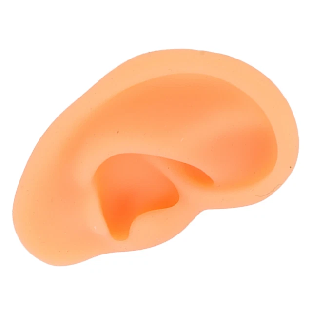 (Destra) Modello orecchio simulazione silicone morbido stampo display orecchio professionale per