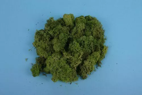 Light Green Lichen (80g) All gauges – Gaugemaster GM164