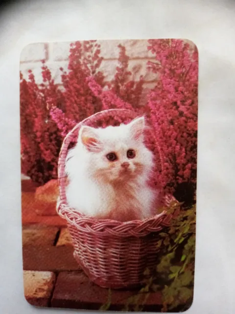 Blank Back Swap  Card  - Cute White Kitten In Basket