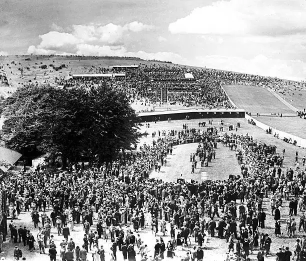 Horse Racing The crowded paddock at Goodwood Old Historic Photo