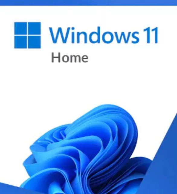 Microsoft windows 11 home retail 64 bit usb flash drive haj 00090 eur