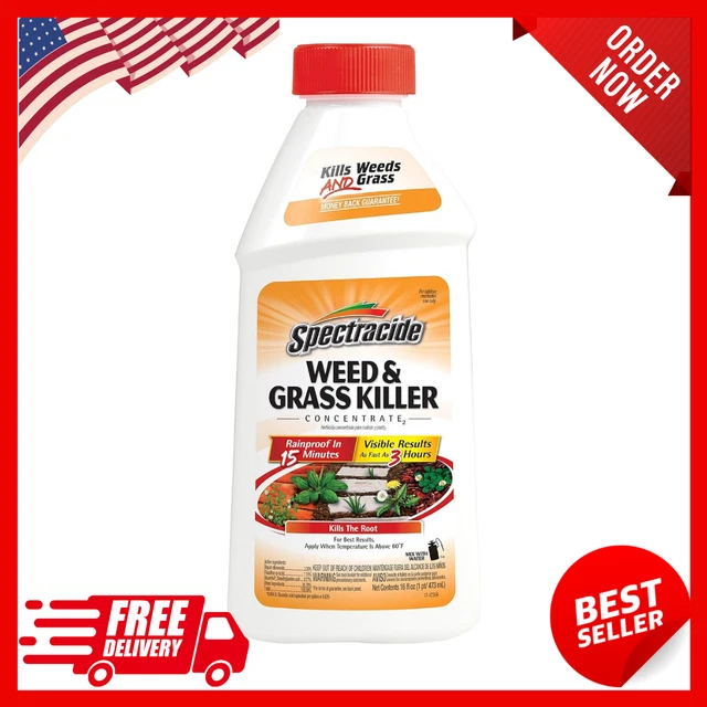 SPECTRACIDE WEED AND Grass Killer Concentrate 16 Ounces, Use On Patios
