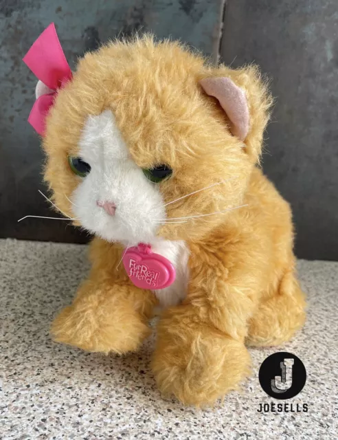 FURREAL DAISY PLAYS With Me Kitty Cat Electronic Interactive Toy