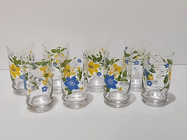 Vintage Retro Set of 8 Lemonade Cordial Drinking Glasses Floral