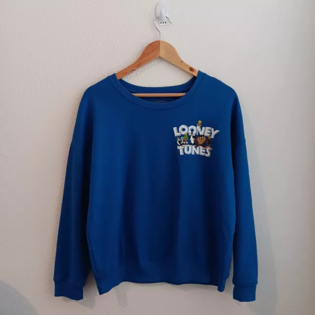 Looney Tunes Sweater Boys Size M Blue