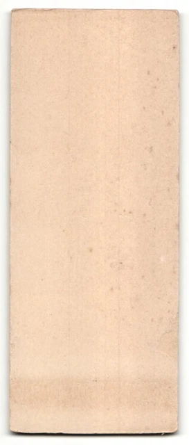 Fotografie Emil Brockhaus, Gardelegen, Portrait junge Dame in weissem Kleid 2