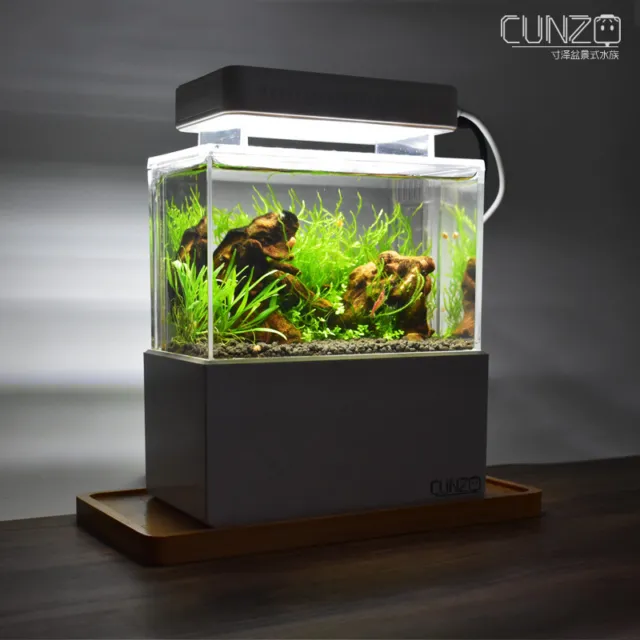 Mini Complete Tank Shrimp / Aquascape / Nano Desktop Fish Tank Aquarium