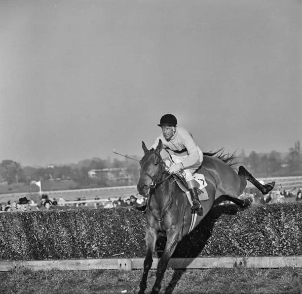 Irish thoroughbred racehorse Arkle , UK, November 1965 OLD PHOTO