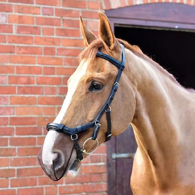 Equilibrium Nose MUZZLE NET Pollen Relief Head Shaking MICKLEM® Bridle Black