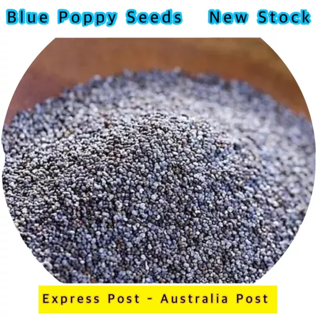 2kg Blue Premium Poppy Seed Seeds Health Food Energy Super Food Express Post