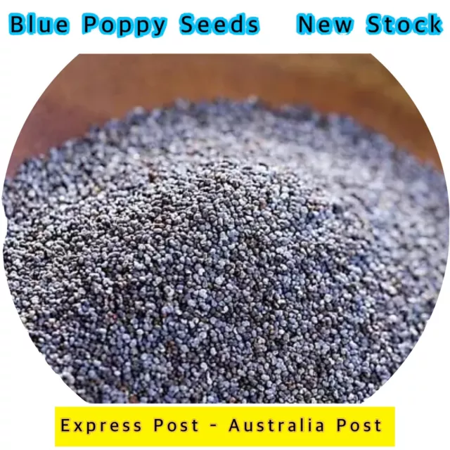 5kg Blue Poppy Seed Seeds NEW STOCK EXPRESS POST Kosher Health Food Vegan