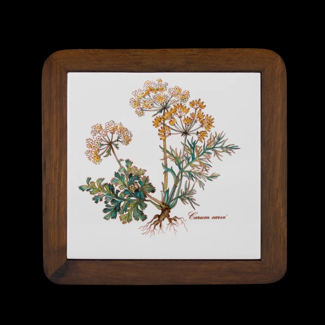Sottobicchieri con telaio in legno 19 cm - TOP - Botanica - Villeroy & Boch