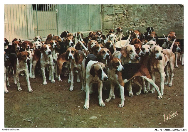60 GLAIGNES. Le Chenil Equipage de Chézelles 1914. Carte toilée