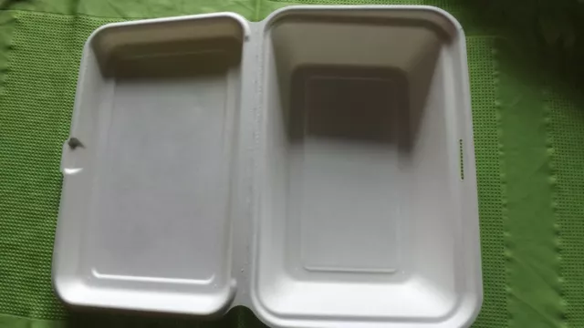 BIO Menüboxen Foodboxen Zuckerrohr/Bagasse To Go Lunchbox ungeteilt 250x162x63mm