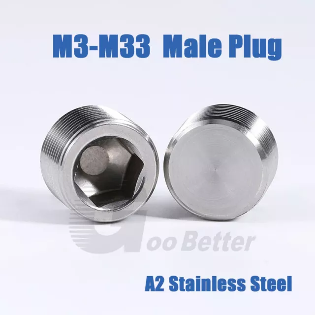 M3-M33 Metric Male Plug A2 Stainless Steel Internal Hex Head Blanking Plug