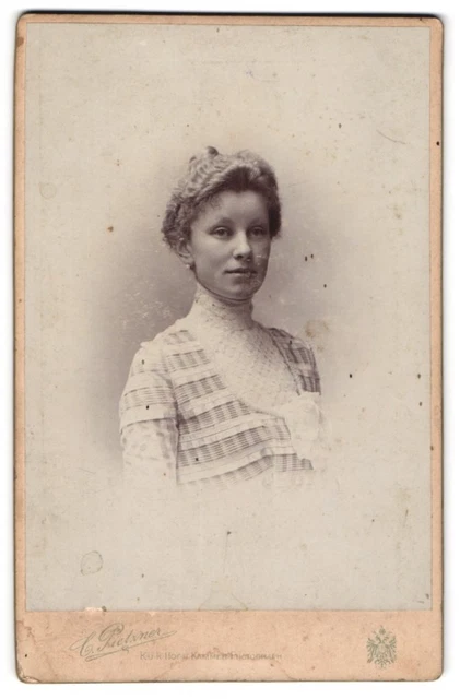 Fotografie C. Pietzner, Wien, Mariahilferstr. 3, Junge Dame mit hochgestecktem