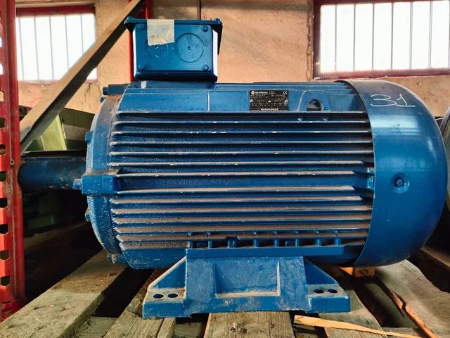 Motore Vibrante 550W, 2840 Giri/min, IP44 - Motore Asincrono Per Applicazioni Industriali, Forza 150 Kg