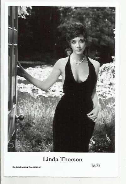 (Bx34) Linda Thorson Swiftsure Photo Postcard (78/53) Filmstar Pin Up Glamour