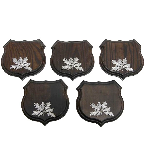 5x Wappenschilder Jabalí Af 15cm Escudo de Trofeo Hoja de Roble Portada Plata