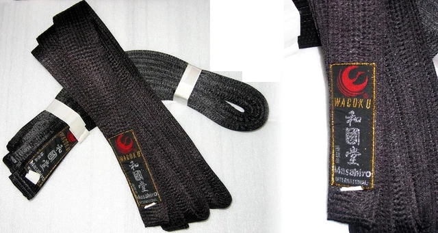 Sangle Efet Soie Polyester Noir Belt Karaté Taekwondo Wtf Wkf Ju-Jitsu