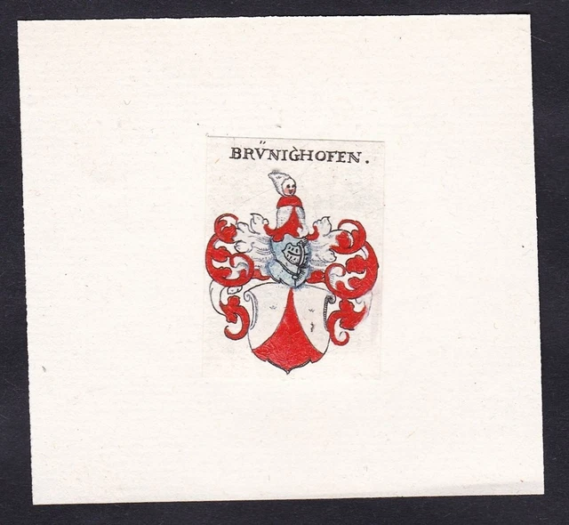 Brünighofen Escudo Abrigo De Arms Heráldica Grabado 17. Jh