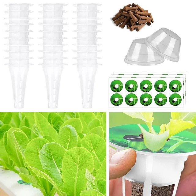 Lot De 100 Éponges De Culture Hydroponique - Démarrage Graines Biodégradables