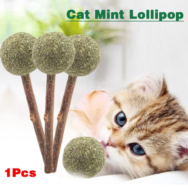 1 x snack per gatti sani caramelle zucchero erba gatta che leccano nutrizione palla giocattolo UK J7Z4