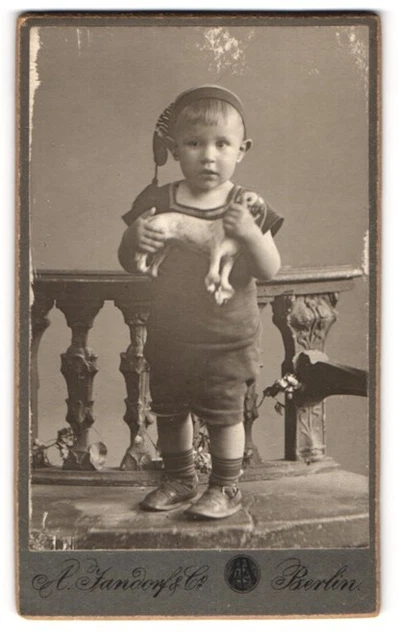 Fotografie A. Jandorf & Co., Berlin, Spittelmarkt 16 /17, Kleiner Knirps mit Sp