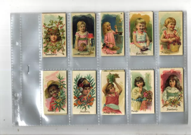 Fruits Children Full Set 50 Sleeved Repro Cards 1St Issued By Allen & Ginter Ex