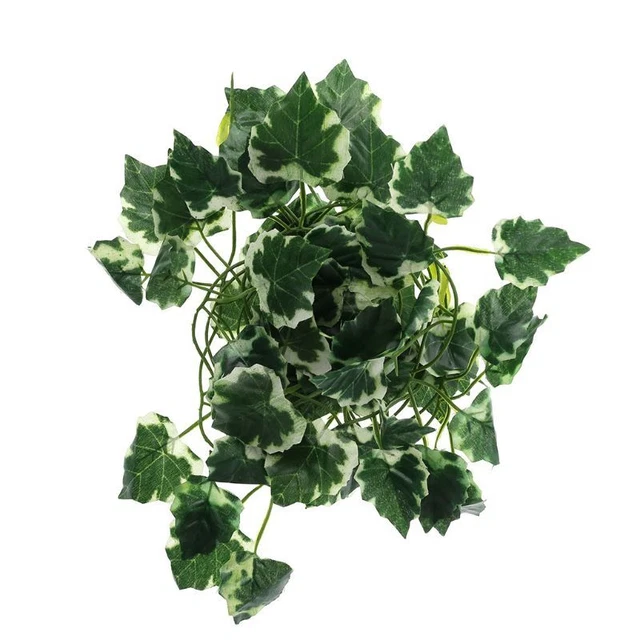 Fish for Landscaped Decoration Terrarium Habitat Decor for Climbing