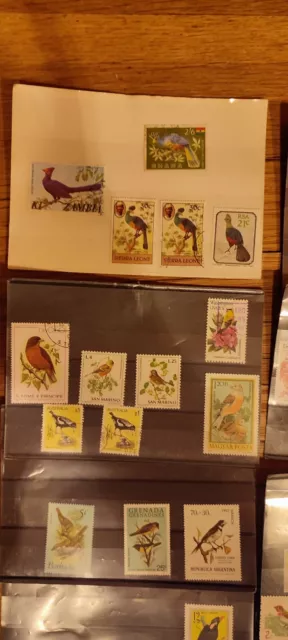 Briefmarken Vögel aus aller Welt ca. 410 Stück gestempelt + ungestempelt