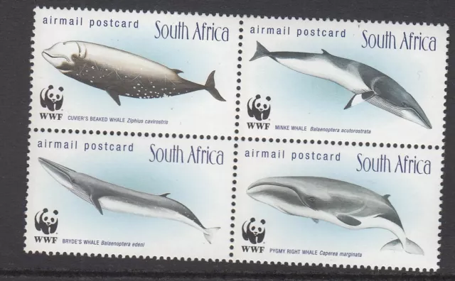 South Africa: Whales, unmounted mint block of 4