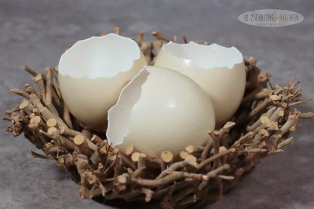 Huevos de avestruz cáscara de eclosión huevos soplados naturaleza decoración huevos de Pascua decoración de Pascua jarrón