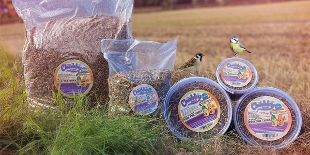 1Kg Chubby Dried Mealworm & Black Soldier Fly Mix for Wild Birds, Chickens & Rep