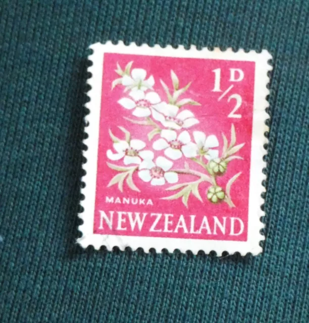 stamps NEW ZEALAND QEII  1960 Manuka plant flower 1/2d   SG781