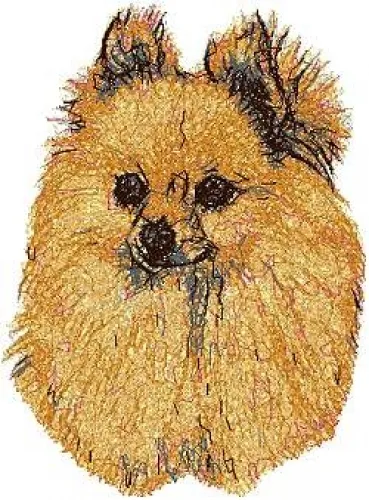 Embroidered Ladies Jacket - Pomeranian AED14434 Sizes S - XXL
