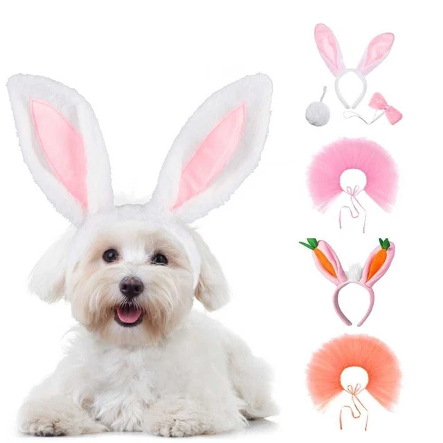 de lapin pour animaux de compagnie Chien Couvre-chef Bunny Drag Chapeau