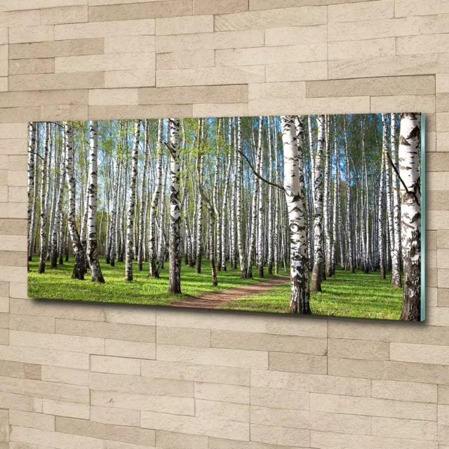 Tulup Pittura Su Vetro Tempereto Immagine 125x50cm - Bosco Di Betulle