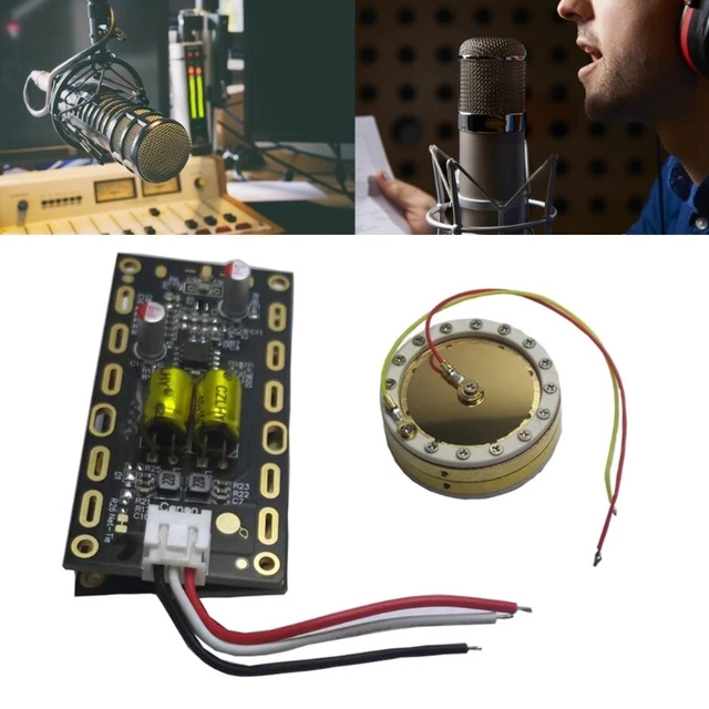 PROFESSIONAL 34MM MICROPHONE Cores Large Diaphragm Condenser Mic Board ...