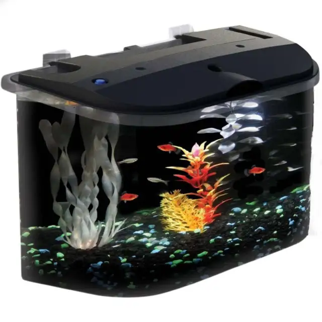 Koller Products Tropical Panaview 5-Gallon Aquarium Starter Kit w/ LED & Filter