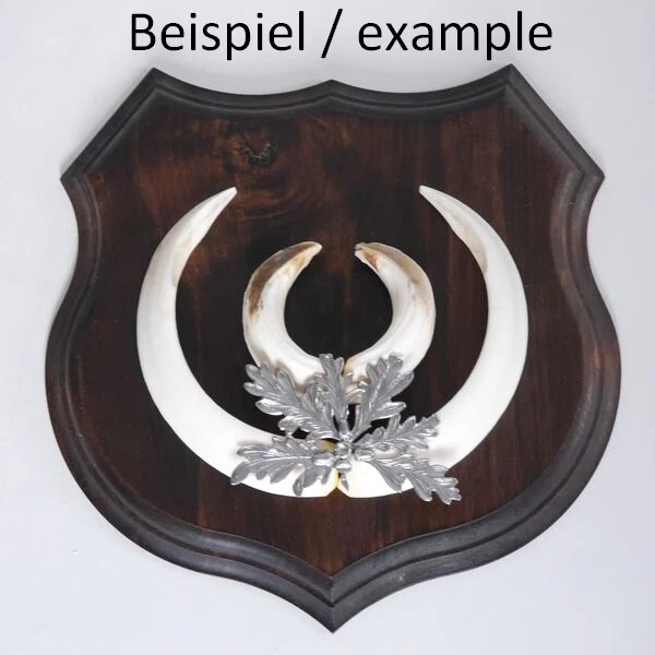 1x Armas Jabalí Escudo de Trofeo Af 19cm, Hoja de Roble Portada Color Plata 3